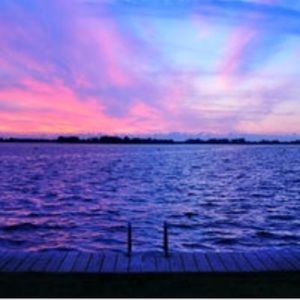 Meet your Posher, Anne wesley